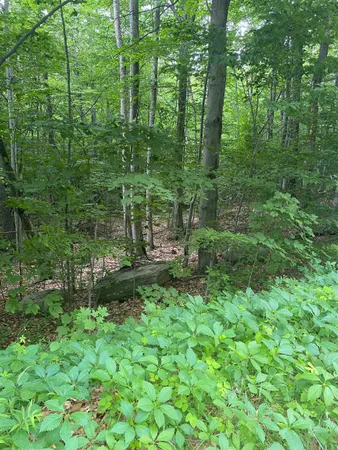 $110,000 | 8 Fred Johnson Circle, Unit 16, Middlebury, VT 05753