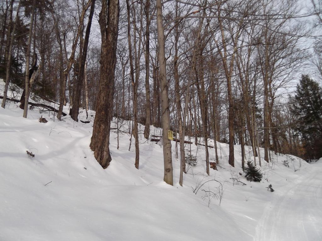 14 East Bear Swamp Road Middlesex, VT 05602 - Photo 1 of 4
