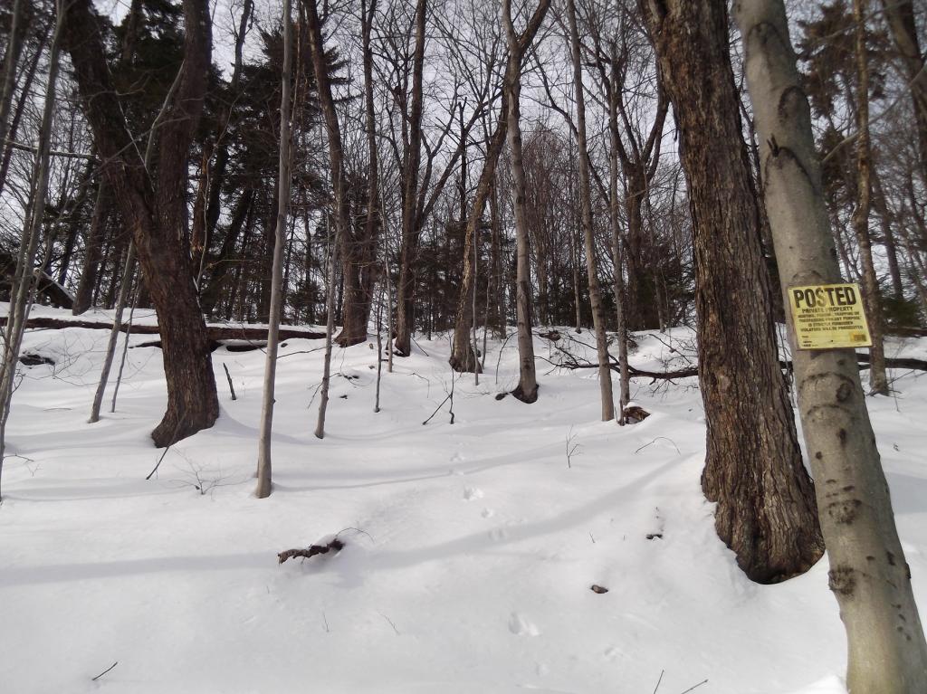 14 East Bear Swamp Road Middlesex, VT 05602 - Photo 2 of 4
