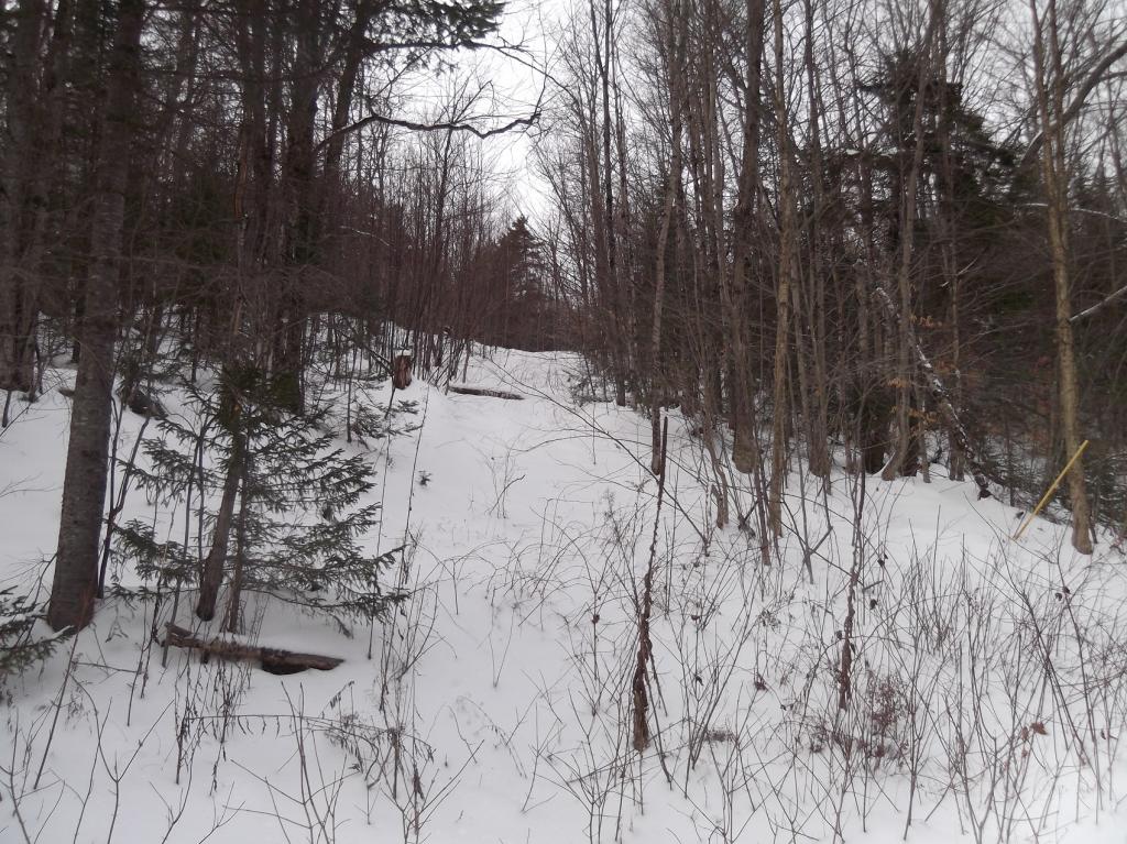 14 East Bear Swamp Road Middlesex, VT 05602 - Photo 3 of 4