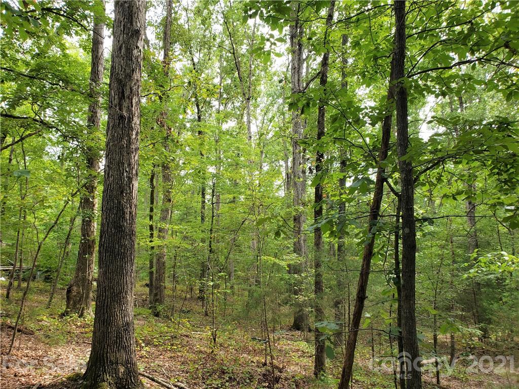 0 Laney Road, Unit B Lancaster, SC 29720 - Photo 11 of 27 Gallery Image 11