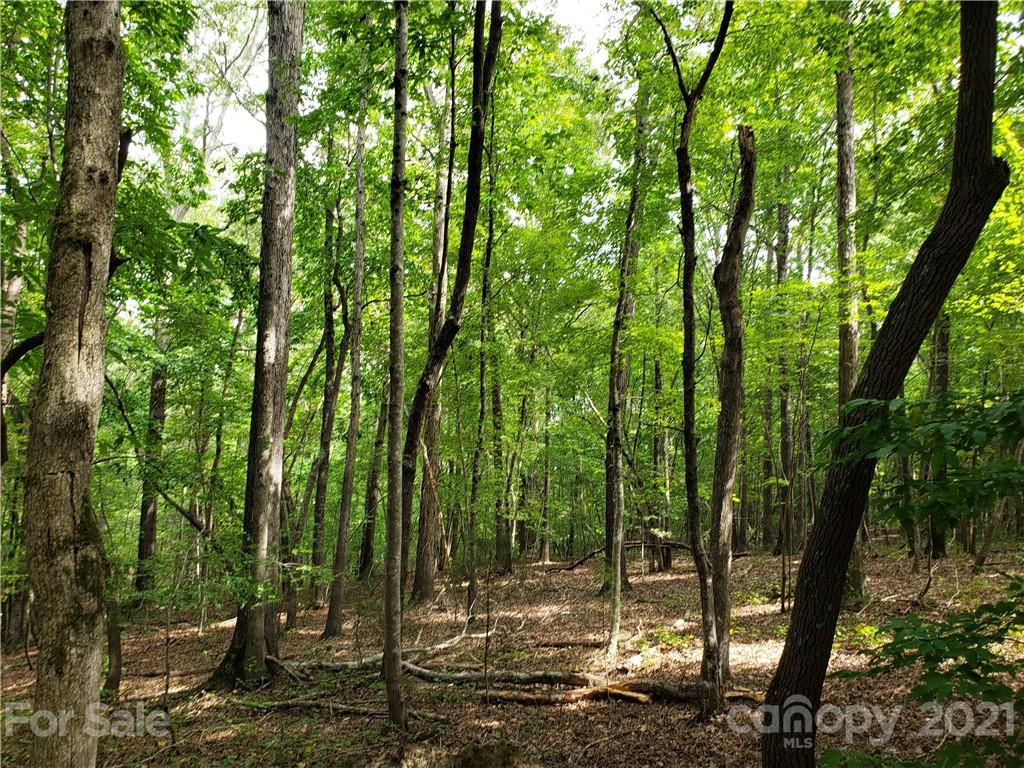0 Laney Road, Unit B Lancaster, SC 29720 - Photo 19 of 27 Gallery Image 19