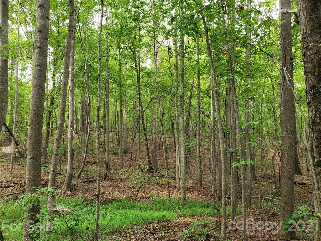 0 Laney Road, Unit B Lancaster, SC 29720 - Photo 21 of 27 Gallery Image 21