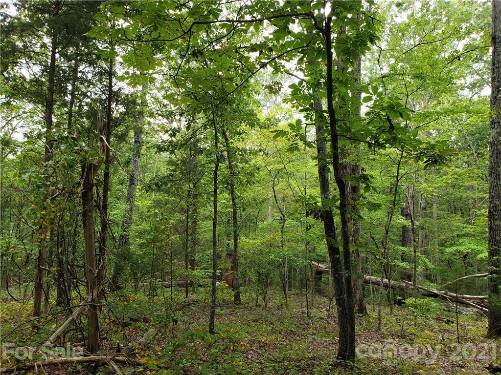 0 Laney Road, Unit B Lancaster, SC 29720 - Photo 23 of 27 Gallery Image 23