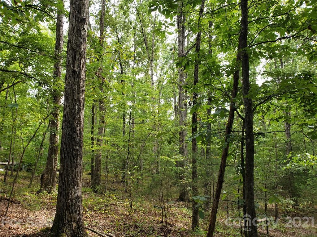 0 Laney Road, Unit B Lancaster, SC 29720 - Photo 24 of 27 Gallery Image 24