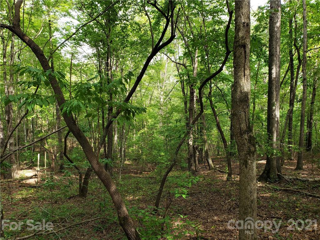 0 Laney Road, Unit B Lancaster, SC 29720 - Photo 25 of 27 Gallery Image 25