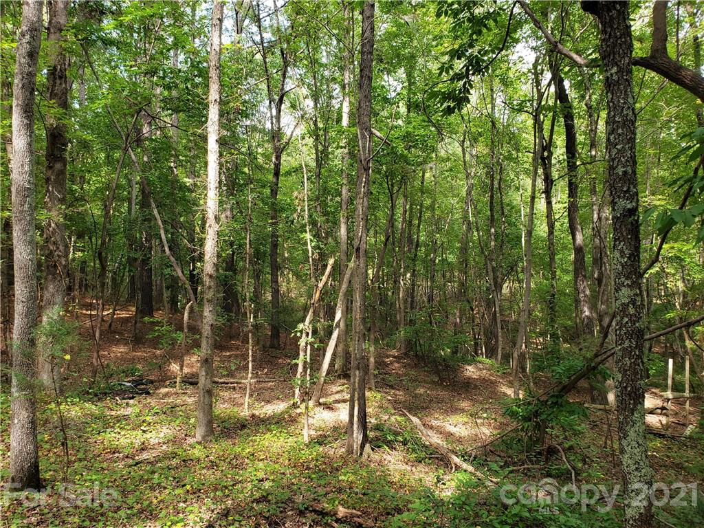 0 Laney Road, Unit B Lancaster, SC 29720 - Photo 27 of 27 Gallery Image 27