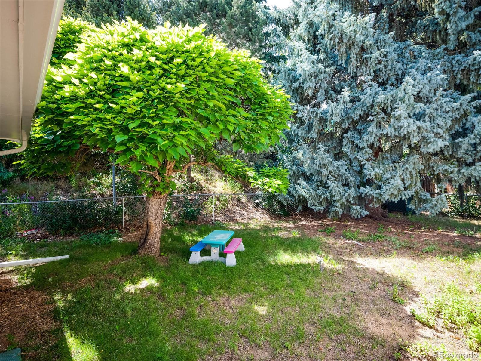1826 Smith Road Golden, CO 80401 - Photo 33 of 35 a view of a tree in a yard with a tree