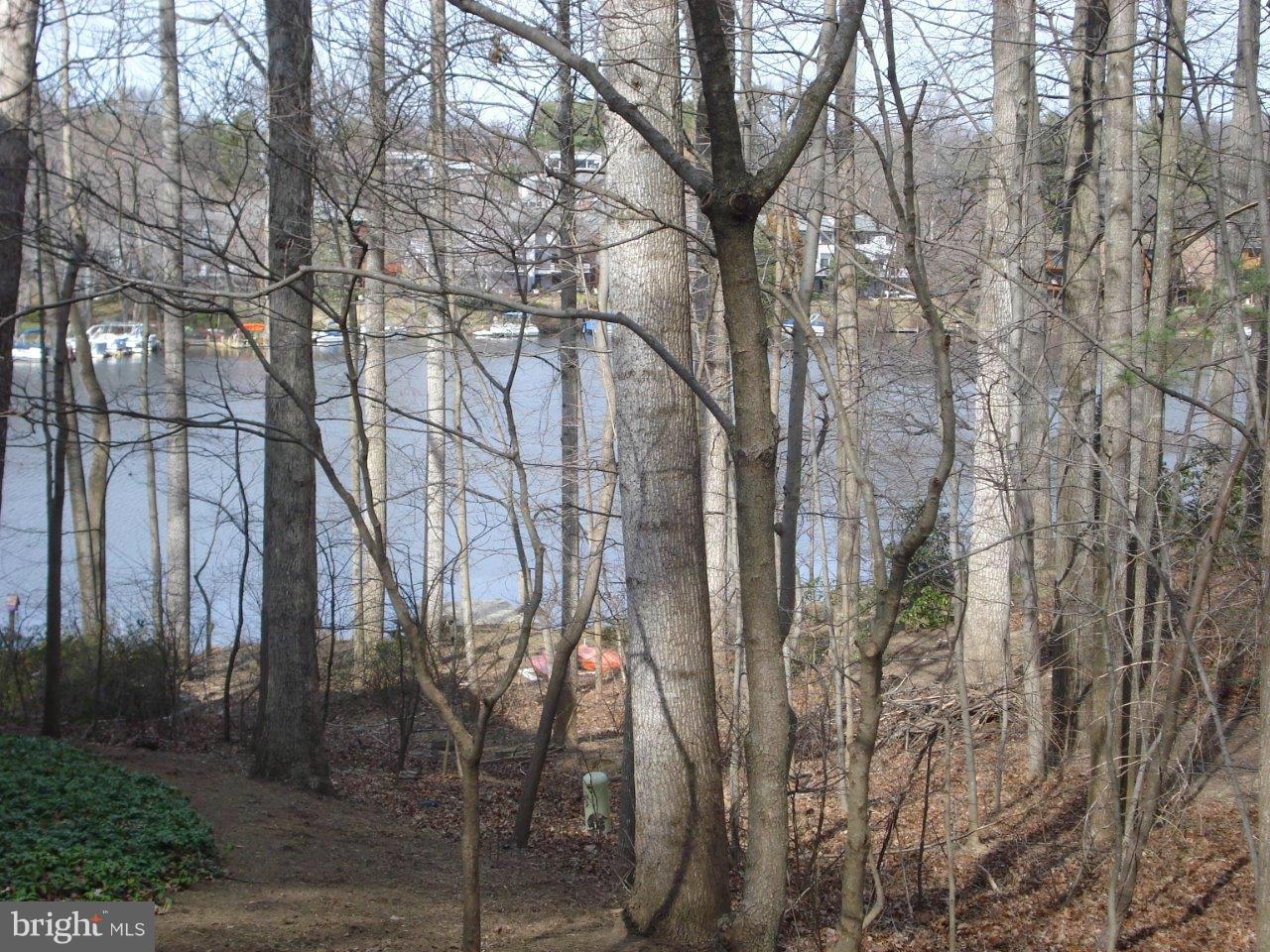 2265 Compass Point Lane Reston, VA 20191 - Photo 19 of 30 a view of a forest with lots of trees