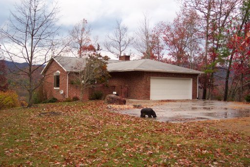 Bend Way Del Rio, TN 37727 - Photo 1 of 1 Primary Photo