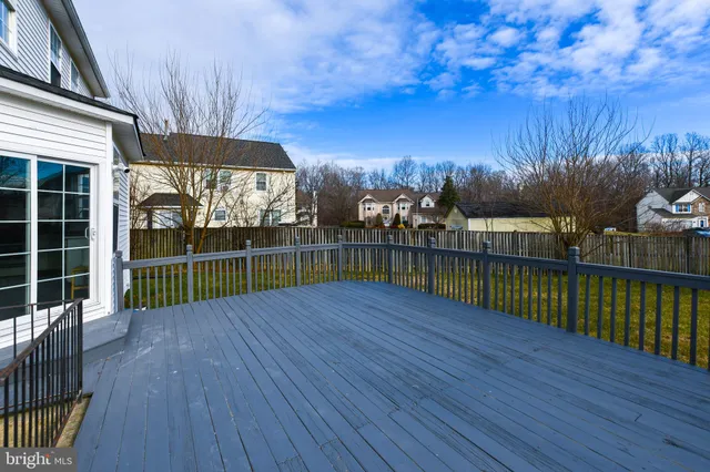 a view of road with large trees