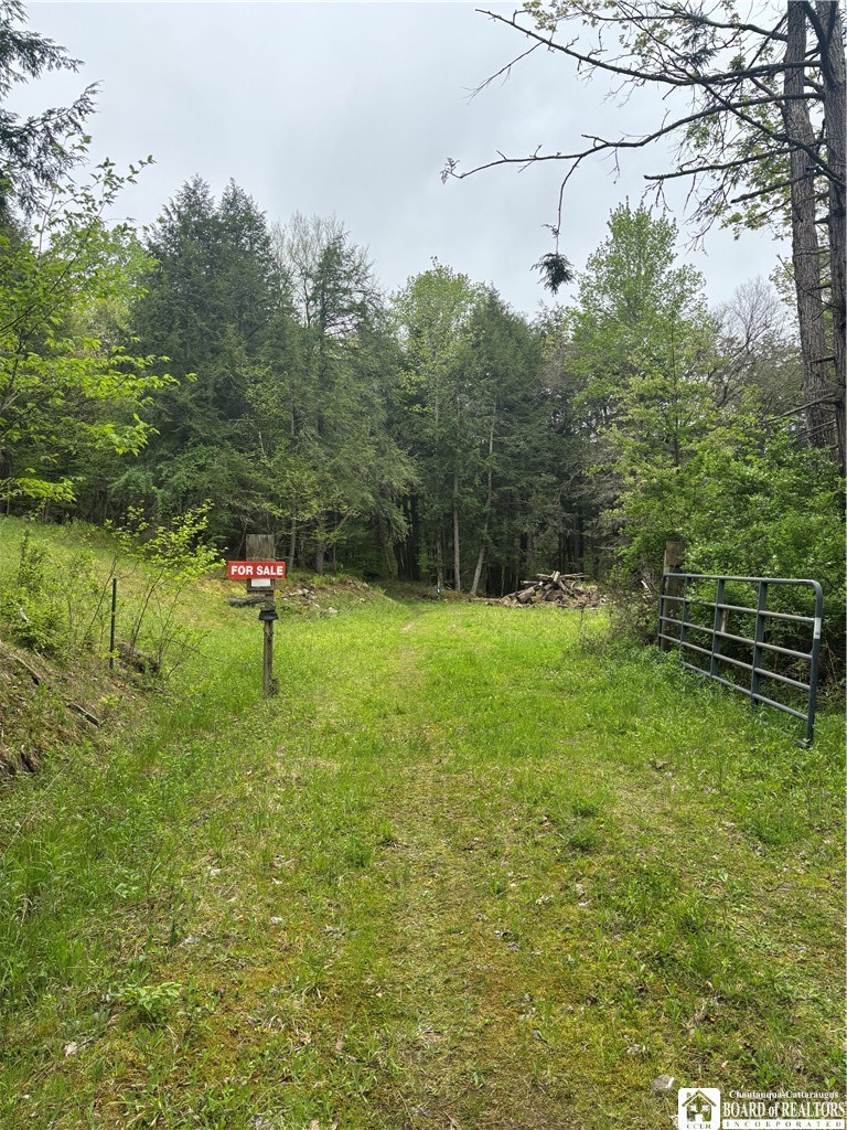 Fulmer Valley Road Wellsville, NY 14895 - Photo 19 of 49