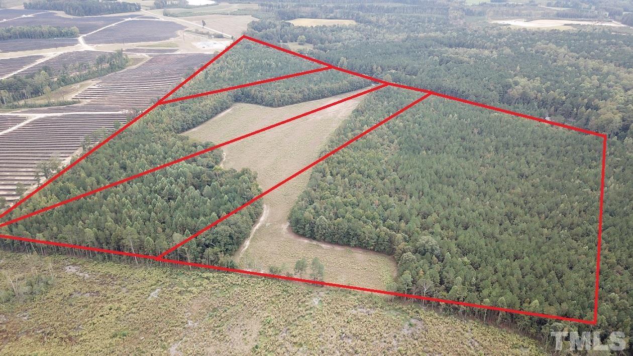 Lot 3 Frazier Road, Unit 16 605 ACRES Spring Hope, NC 27882 - Photo 3 of 5 a view of small area