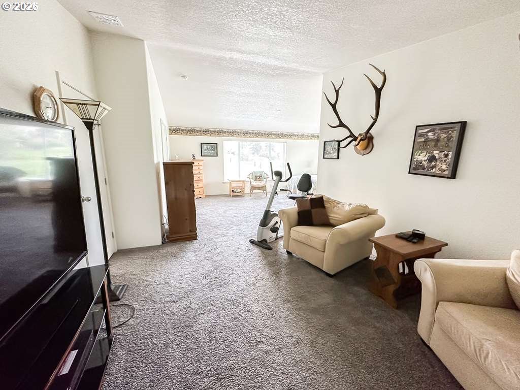 46198 Slaughterhouse Road Halfway, OR 97834 - Photo 13 of 40 a living room with furniture and a flat screen tv