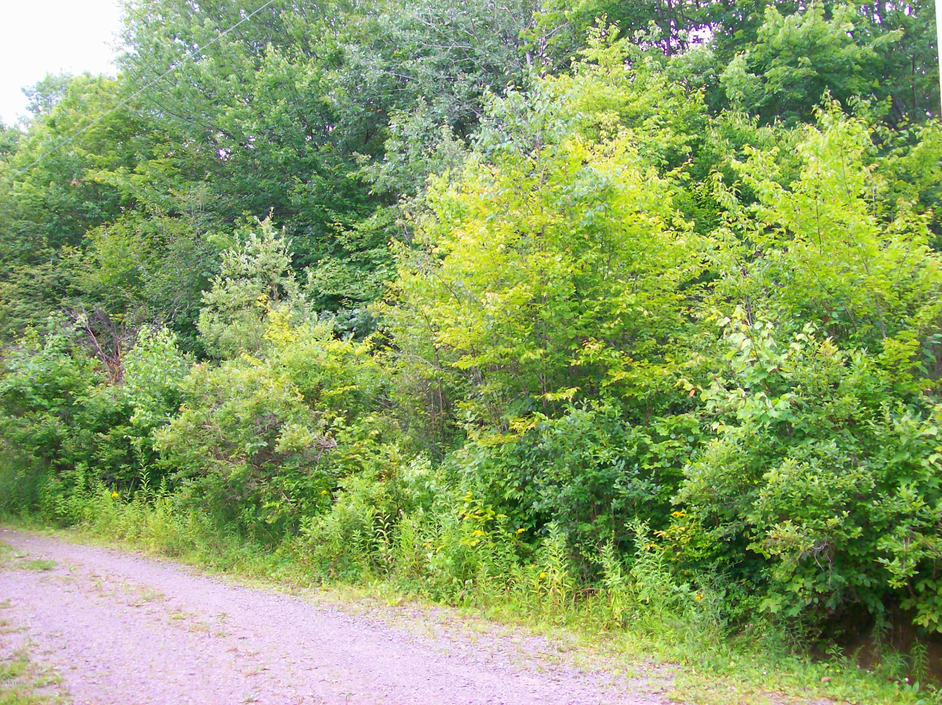 Hempstead Lake Road Starlight, PA 18461 - Photo 2 of 3