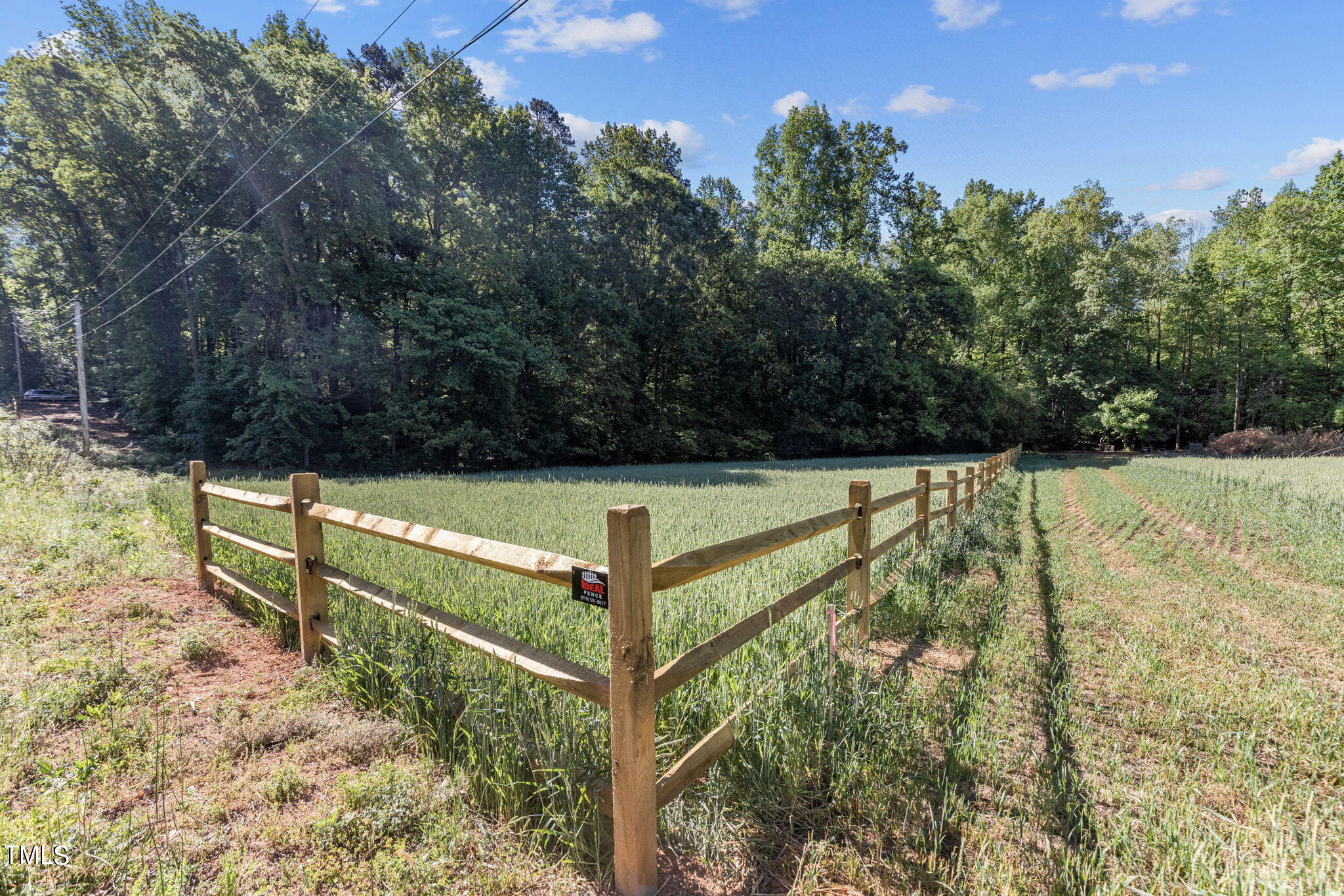 a view of a yard with iron fence
