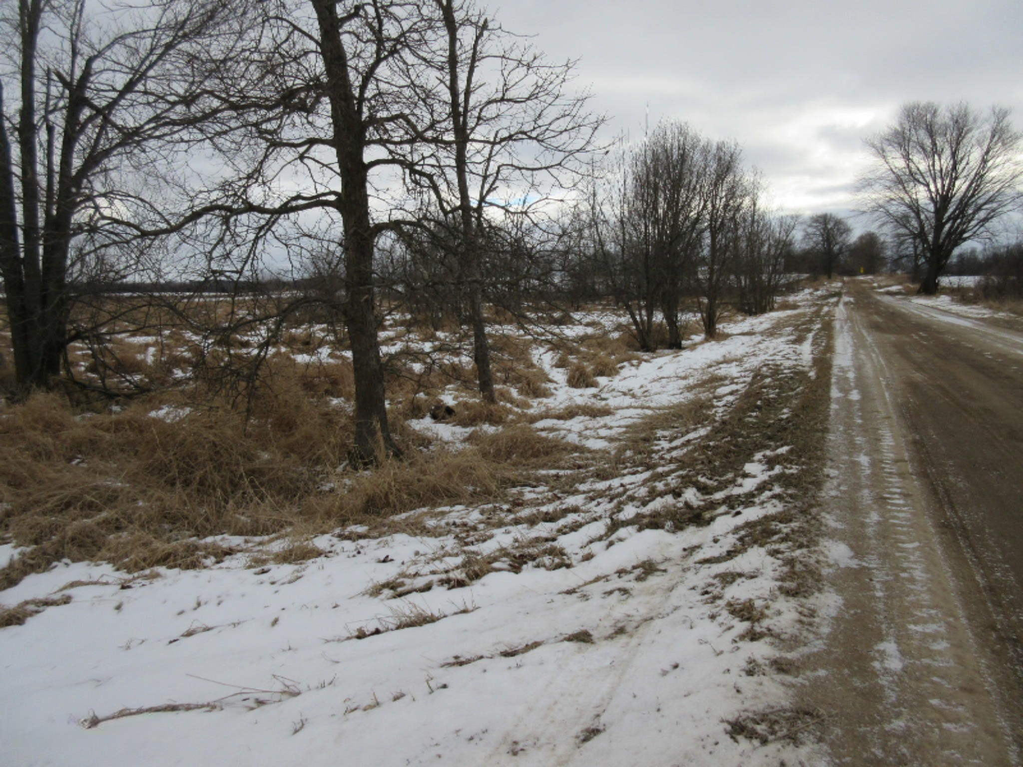 Dewey Road Stockbridge, MI 49285 - Photo 3 of 45 IMG_8626