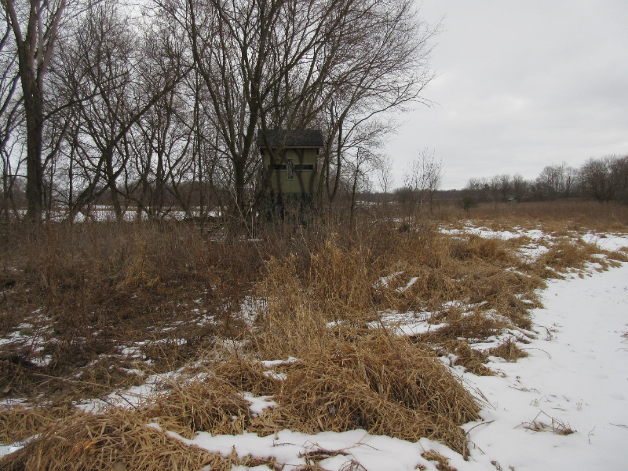 Dewey Road Stockbridge, MI 49285 - Photo 5 of 45 IMG_8634
