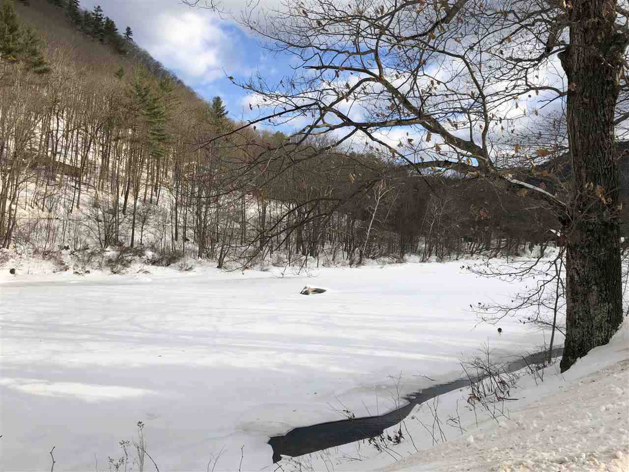 3231 State Forest Road Townshend, VT 05353 - Photo 29 of 35 Gallery Image 29