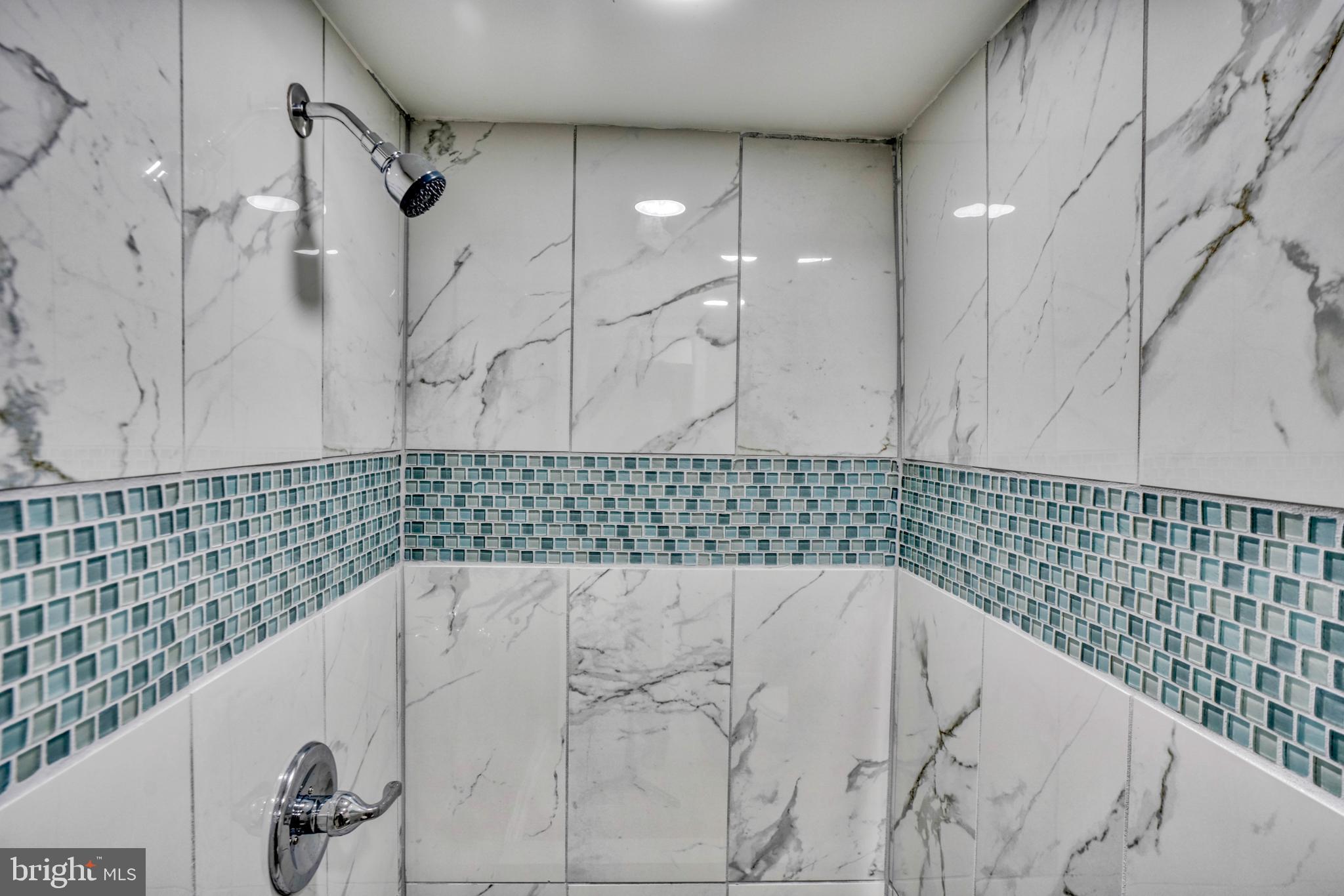 5309 Catalpha Road Baltimore, MD 21214 - Photo 23 of 45 Custom Shower