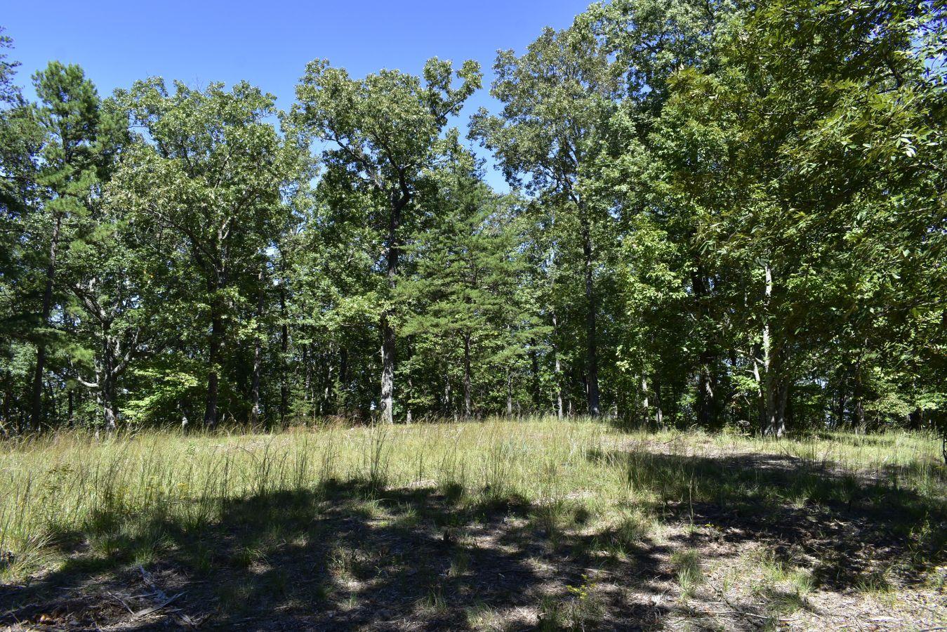 0 Lula Lake Road, Unit 61 Rising Fawn, GA 30738 - Photo 2 of 59 _DSC0257