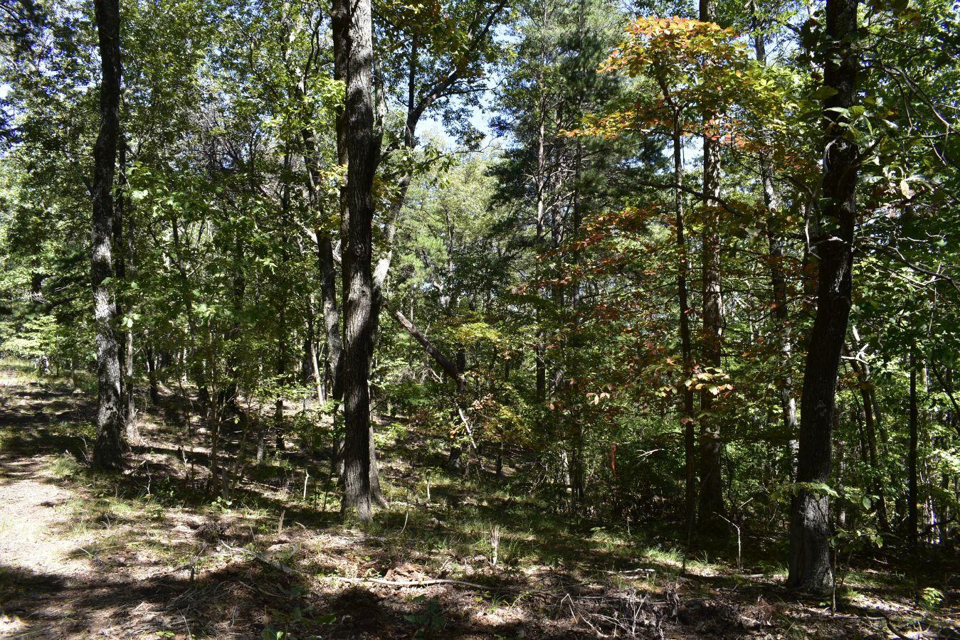 0 Lula Lake Road, Unit 61 Rising Fawn, GA 30738 - Photo 15 of 59 _DSC0247