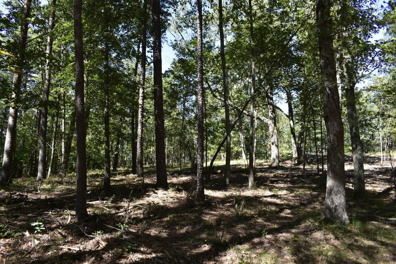 0 Lula Lake Road, Unit 61 Rising Fawn, GA 30738 - Photo 16 of 59 _DSC0248
