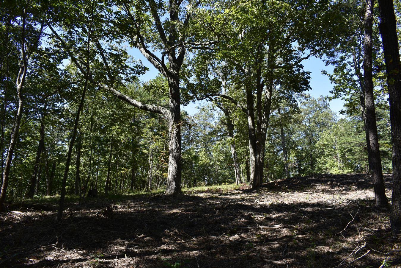 0 Lula Lake Road, Unit 61 Rising Fawn, GA 30738 - Photo 17 of 59 _DSC0249