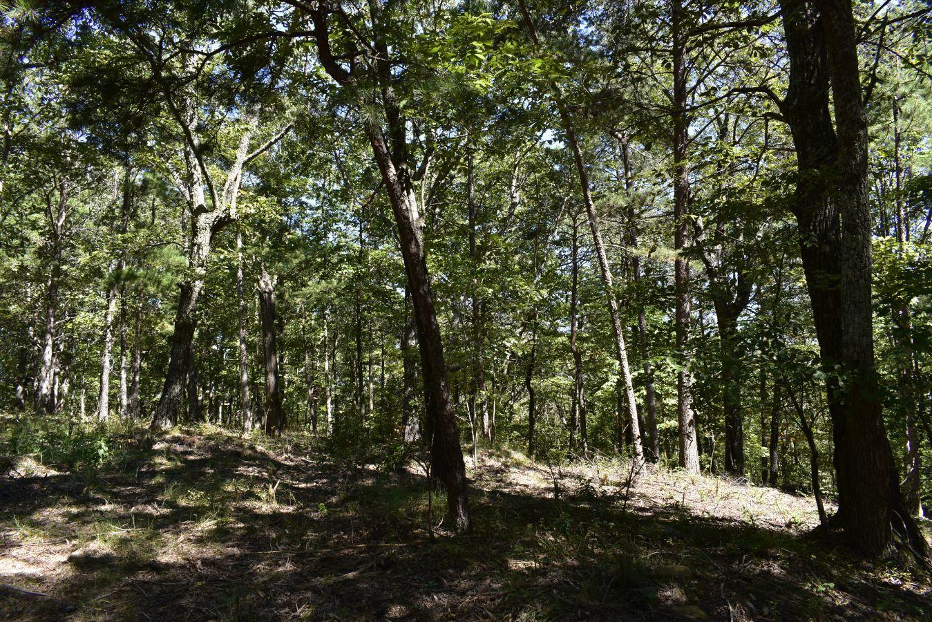 0 Lula Lake Road, Unit 61 Rising Fawn, GA 30738 - Photo 19 of 59 _DSC0251