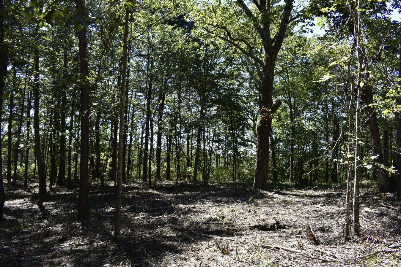 0 Lula Lake Road, Unit 61 Rising Fawn, GA 30738 - Photo 20 of 59 _DSC0252