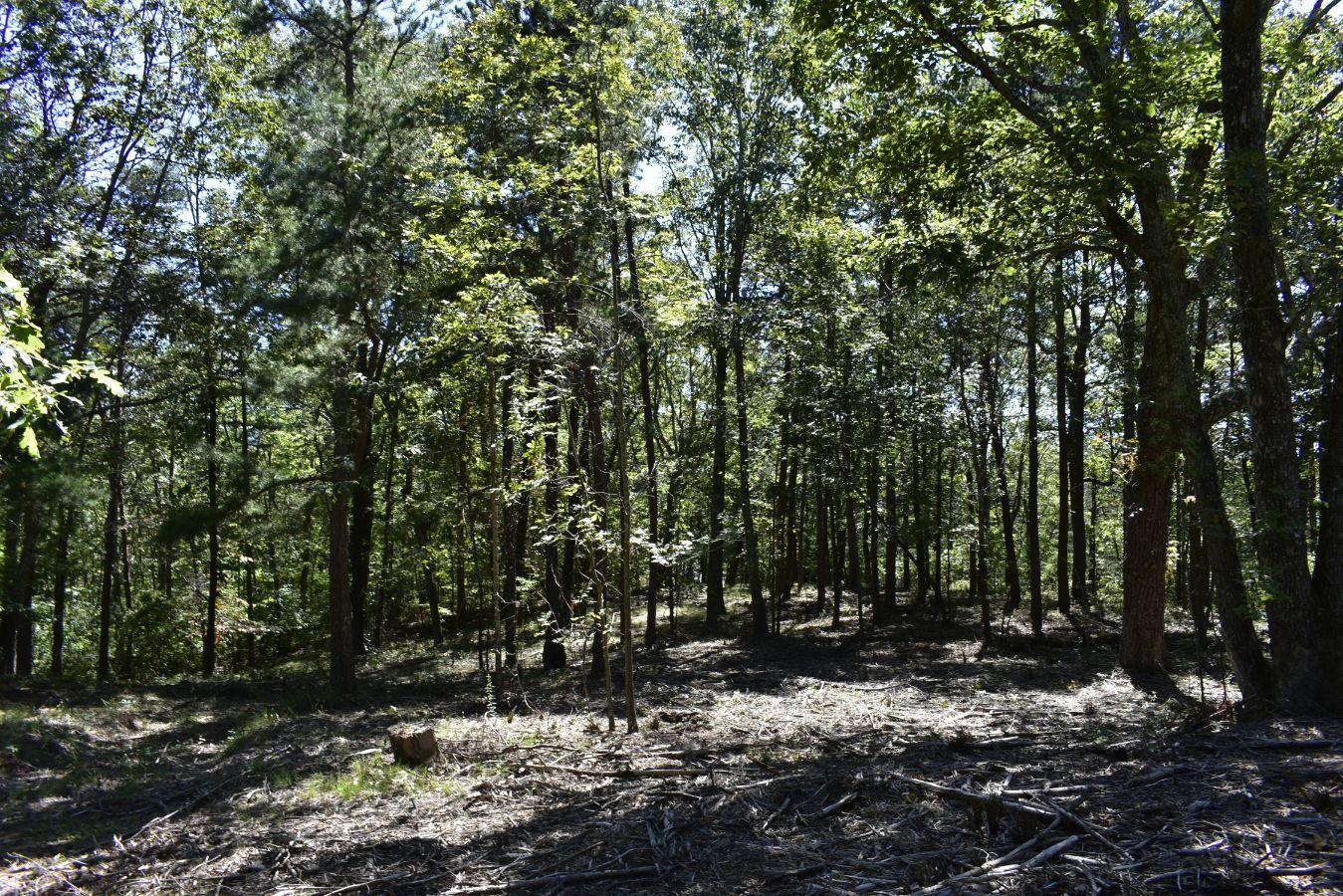 0 Lula Lake Road, Unit 61 Rising Fawn, GA 30738 - Photo 3 of 59 _DSC0254
