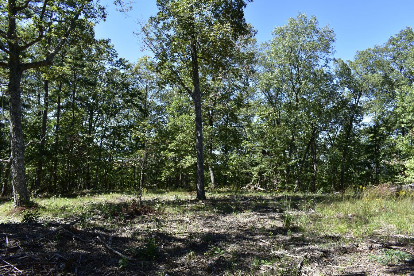 0 Lula Lake Road, Unit 61 Rising Fawn, GA 30738 - Photo 22 of 59 _DSC0255