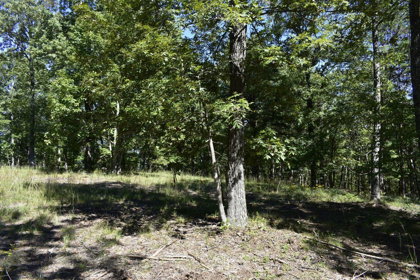 0 Lula Lake Road, Unit 61 Rising Fawn, GA 30738 - Photo 23 of 59 _DSC0258