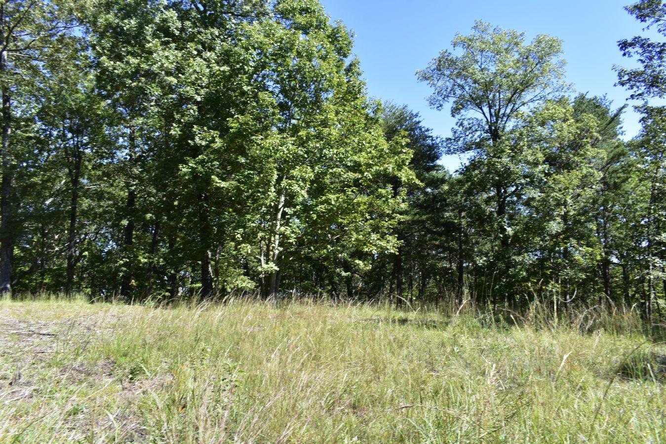 0 Lula Lake Road, Unit 61 Rising Fawn, GA 30738 - Photo 24 of 59 _DSC0259