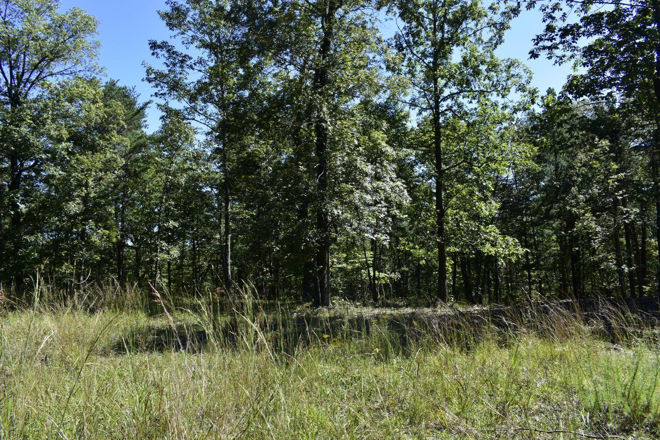 0 Lula Lake Road, Unit 61 Rising Fawn, GA 30738 - Photo 25 of 59 _DSC0260