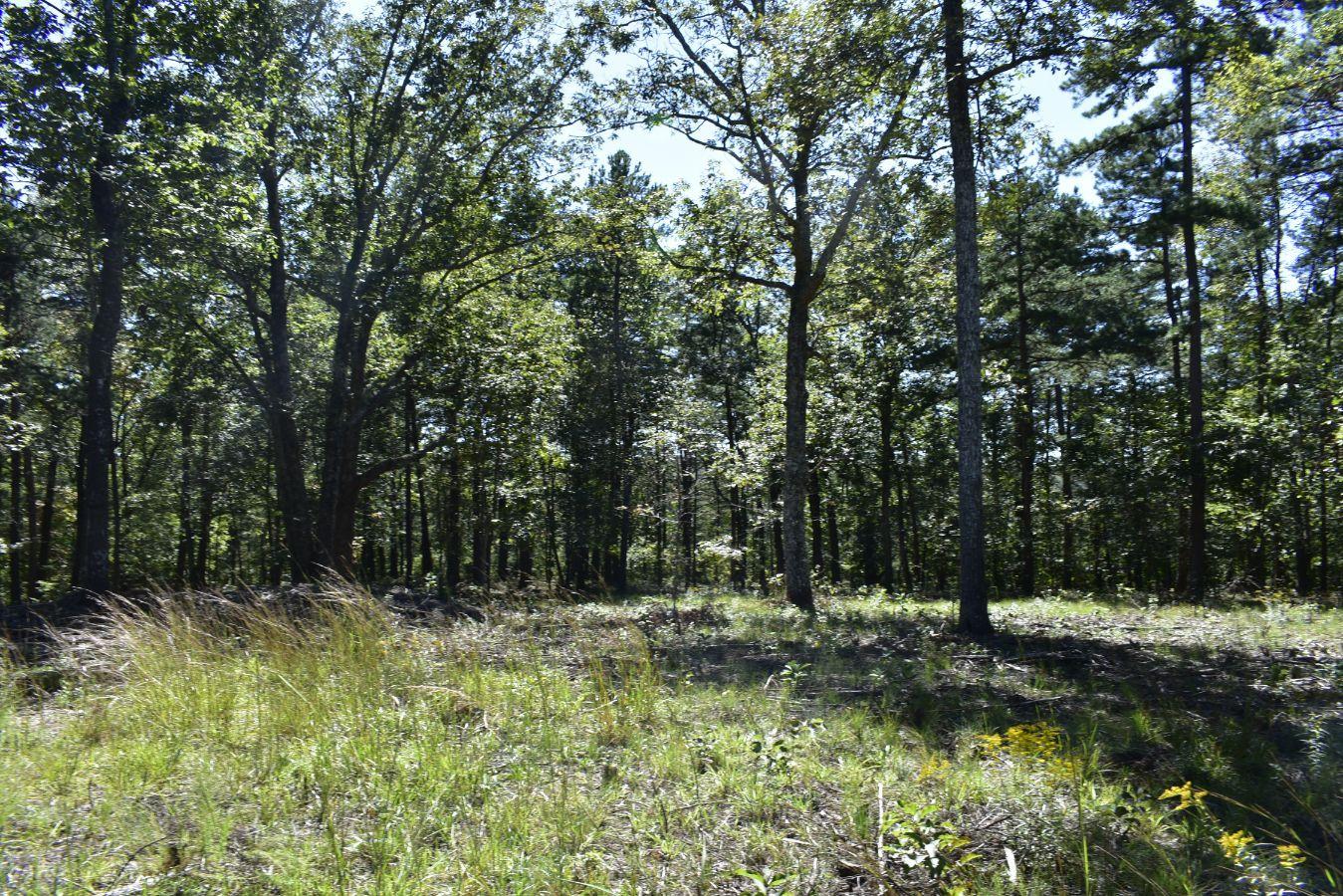 0 Lula Lake Road, Unit 61 Rising Fawn, GA 30738 - Photo 26 of 59 _DSC0261