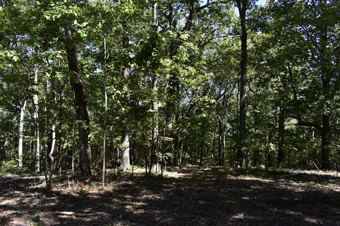 0 Lula Lake Road, Unit 61 Rising Fawn, GA 30738 - Photo 27 of 59 _DSC0262