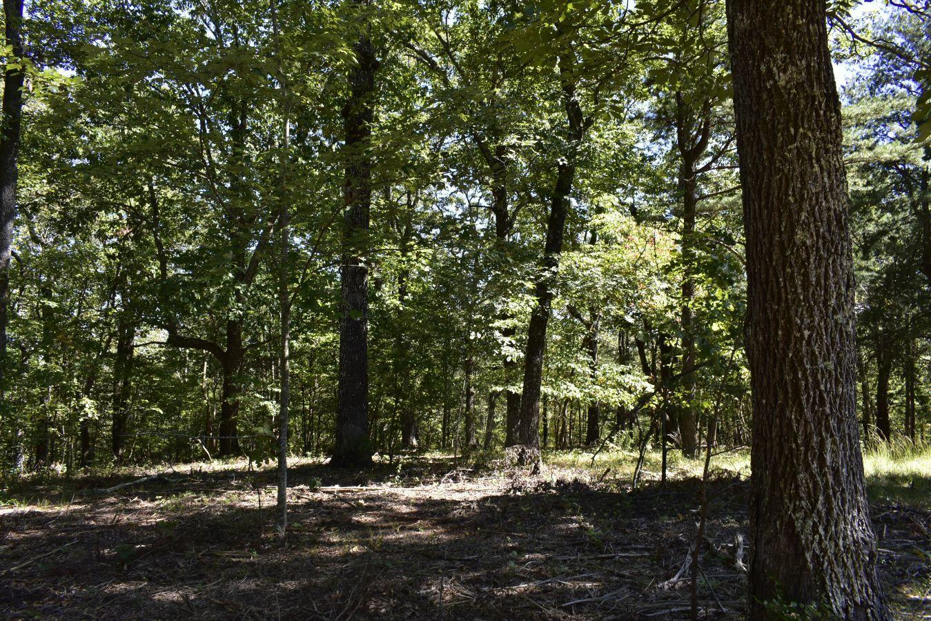 0 Lula Lake Road, Unit 61 Rising Fawn, GA 30738 - Photo 28 of 59 _DSC0263