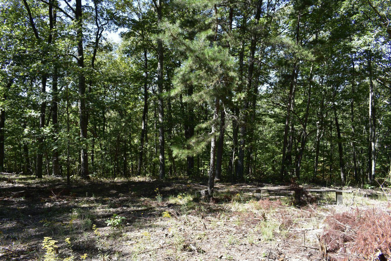 0 Lula Lake Road, Unit 61 Rising Fawn, GA 30738 - Photo 31 of 59 _DSC0266