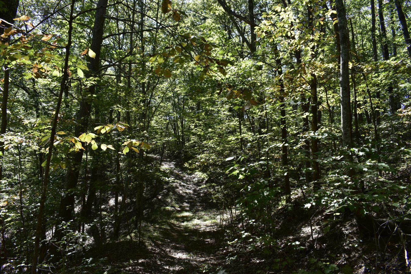 0 Lula Lake Road, Unit 61 Rising Fawn, GA 30738 - Photo 58 of 59 _DSC0292