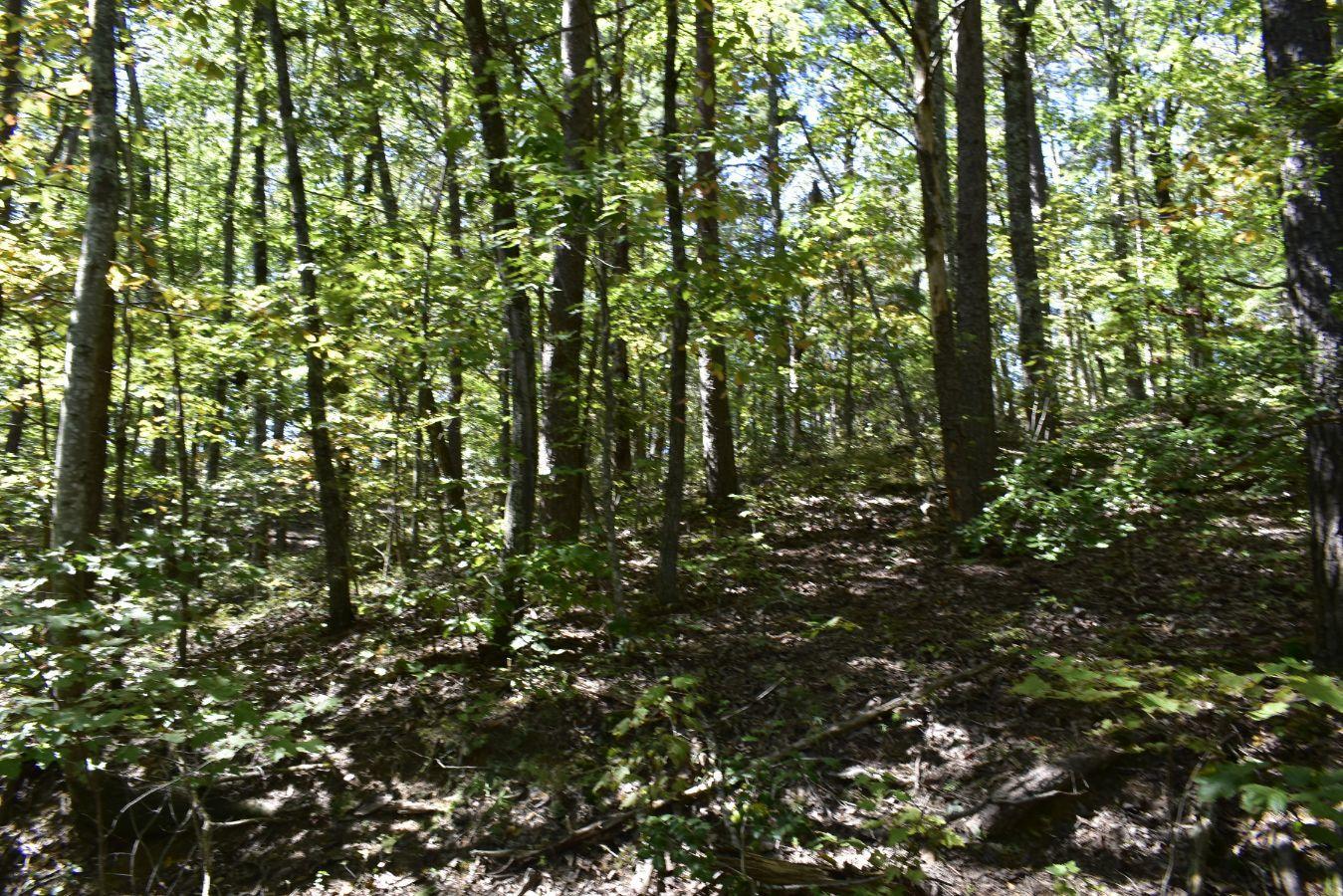 0 Lula Lake Road, Unit 61 Rising Fawn, GA 30738 - Photo 59 of 59 _DSC0293