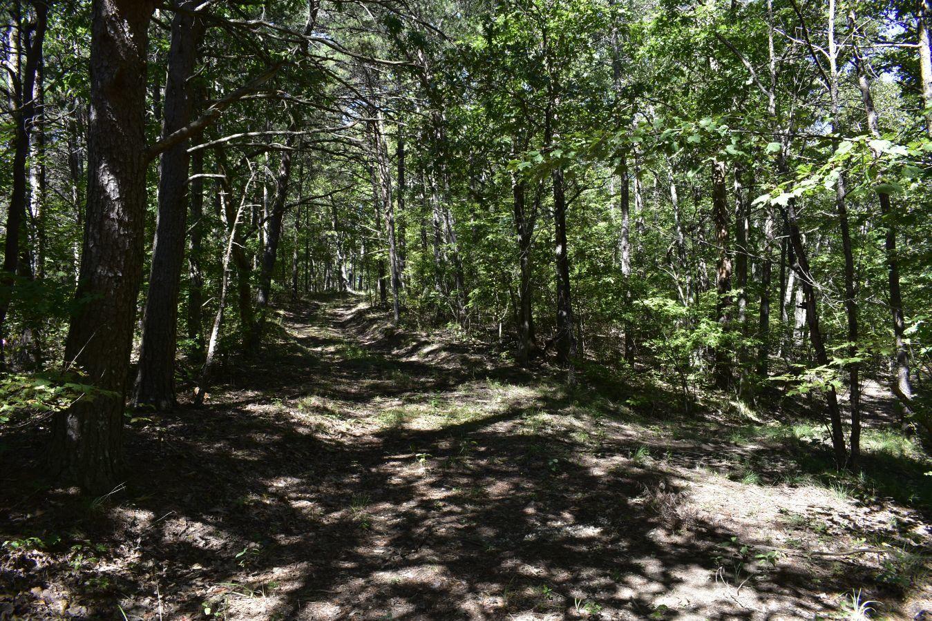0 Lula Lake Road, Unit 61 Rising Fawn, GA 30738 - Photo 7 of 59 _DSC0239