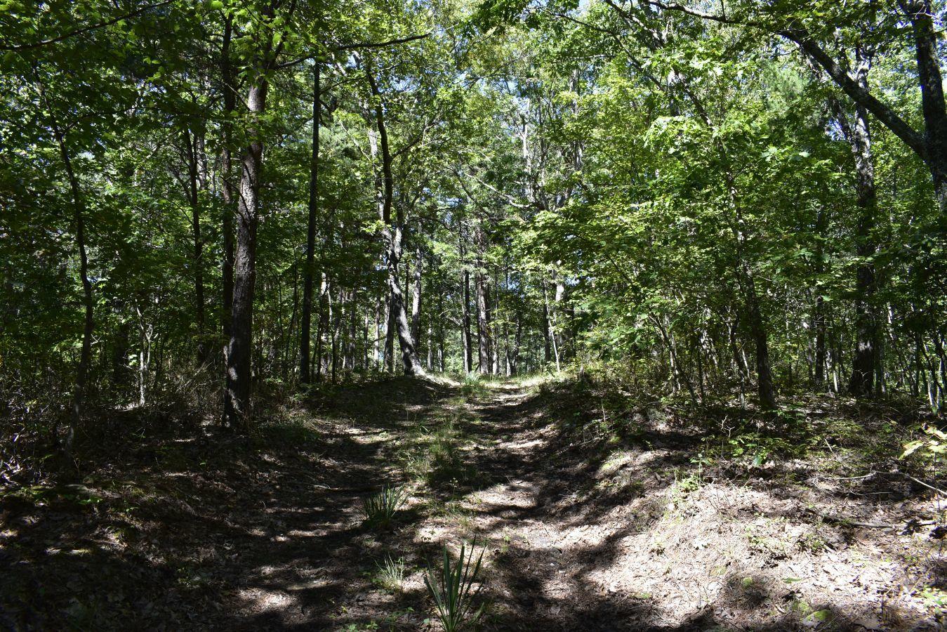 0 Lula Lake Road, Unit 61 Rising Fawn, GA 30738 - Photo 9 of 59 _DSC0241