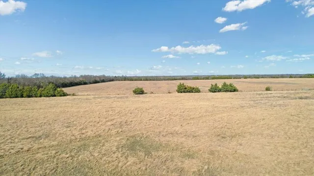 a view of a water pond with green landscape