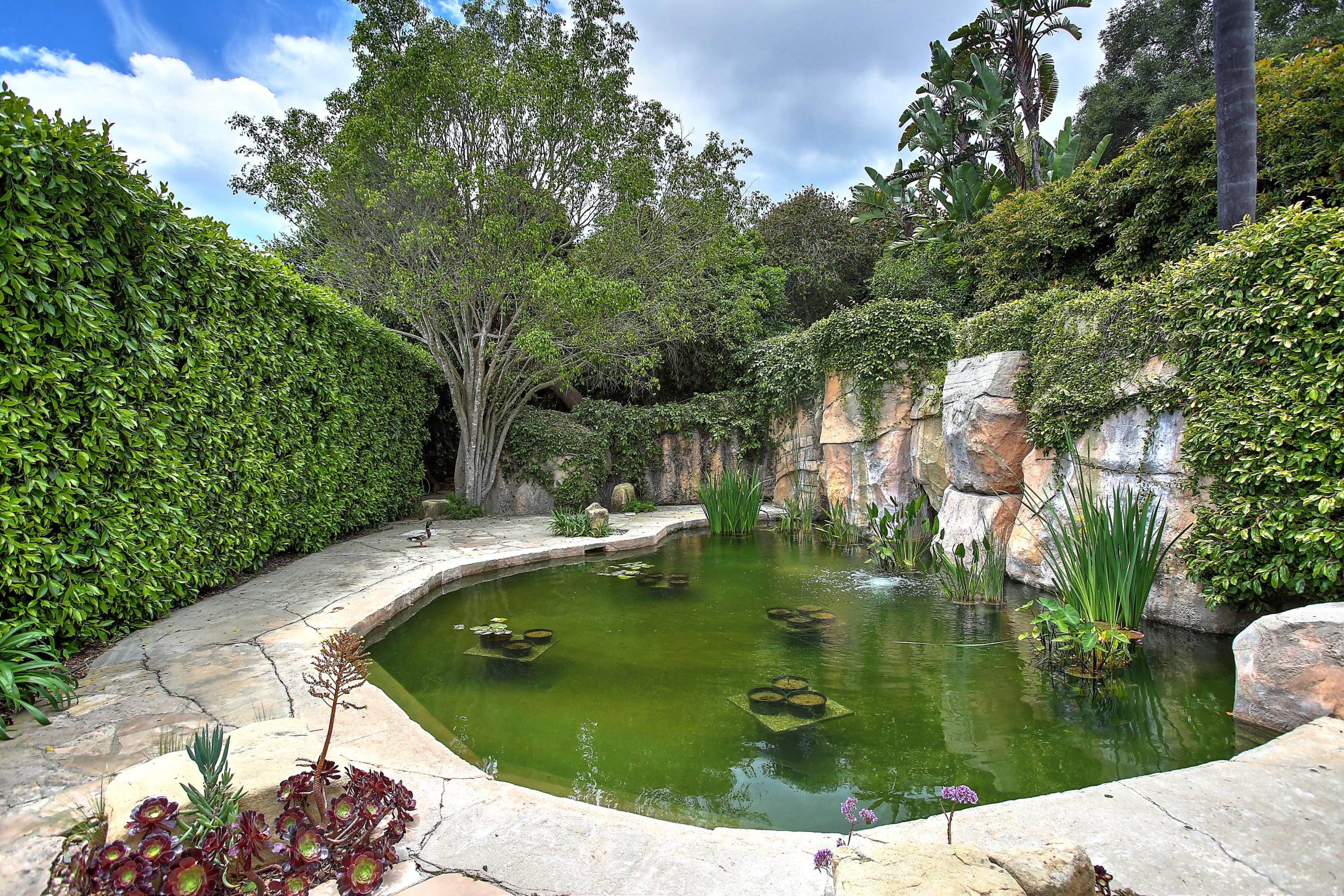465 Via Dichosa Santa Barbara, CA 93110 - Photo 55 of 57 Lily pond