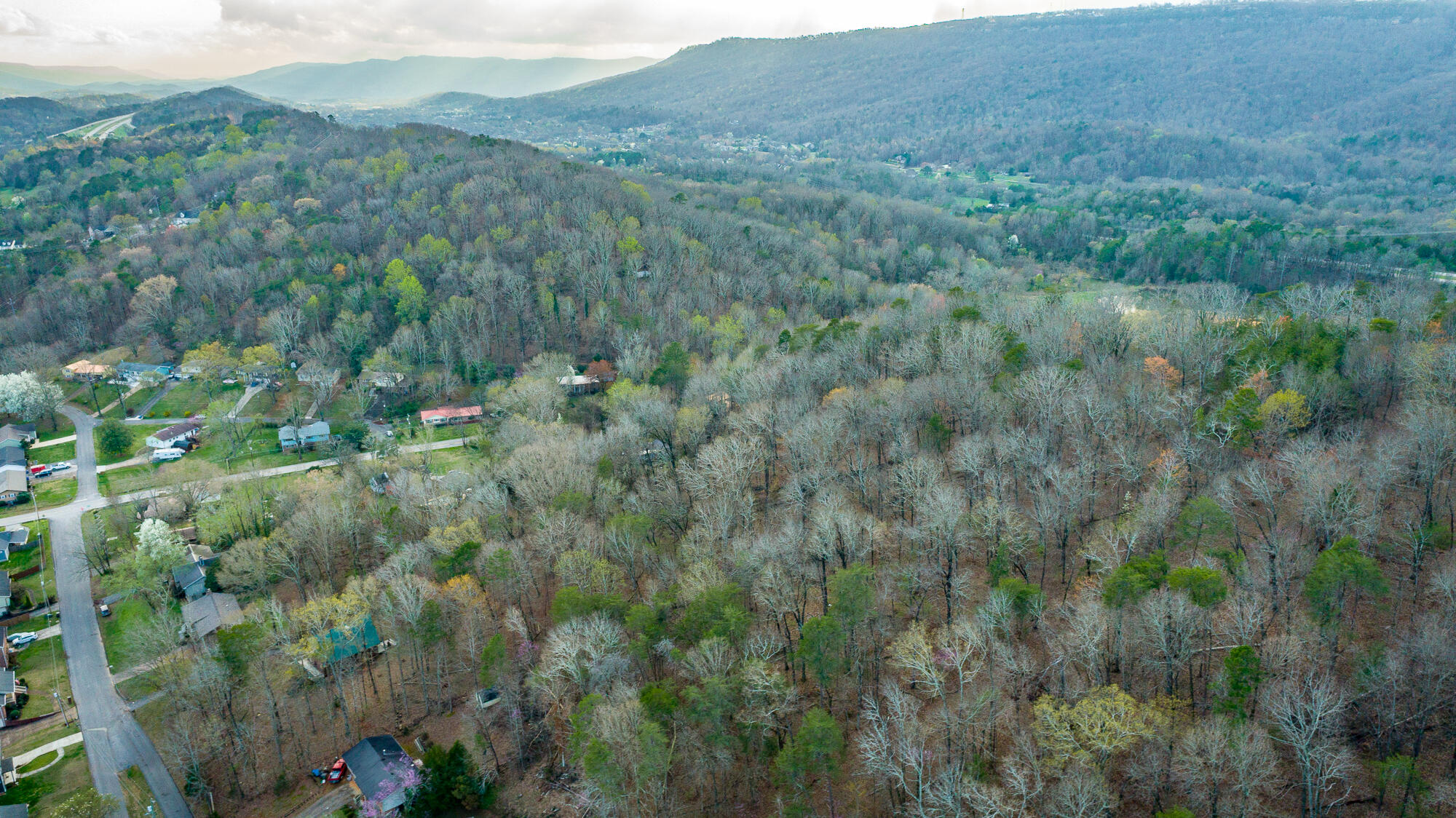 409 Browntown Road Chattanooga, TN 37415 - Photo 4 of 8 lot