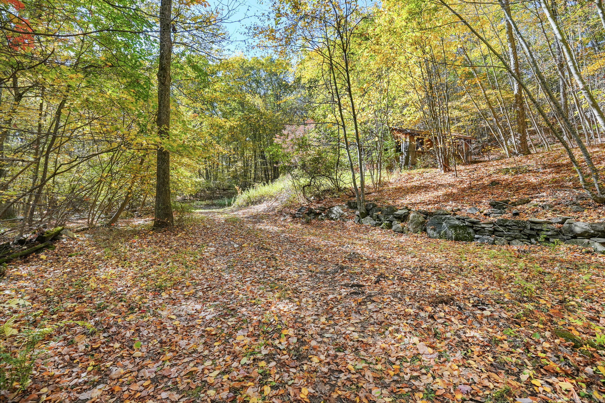 a backyard of a house with lots of green space