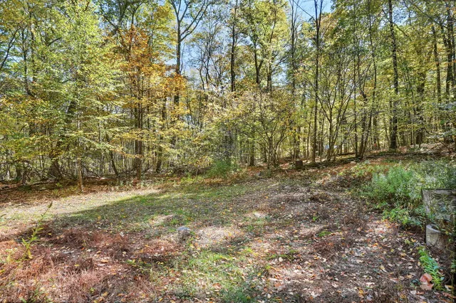 a view of a yard with a tree
