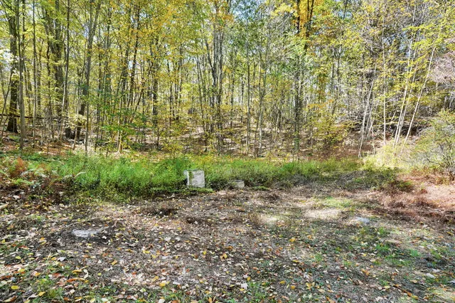 a view of backyard with green space