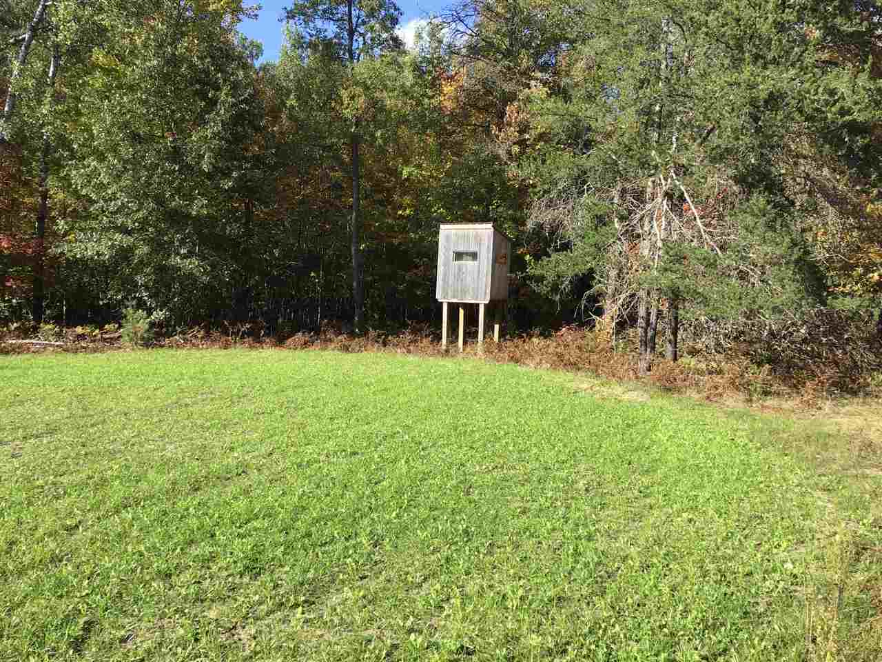 4364 East 8 Road Manton, MI 49663 - Photo 12 of 26 1869477-11.JPG